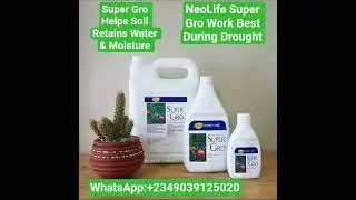 SUPER GRO LIQUID FERTILIZER BENEFITS DURING DROUGHT #neolife