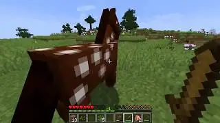 Minecraft survival (Join if you want to play)