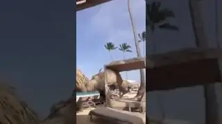 Punta Cana.   Why use a Travel Agent