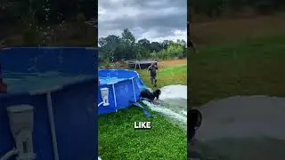 Это самый лучший папа на свете?