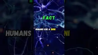 Myth vs Fact: Human Brain Facts #youtubeshorts #shorts #youtube #myth #fact #mythvsfact