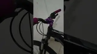 Mis 3 bicicletas BMX Dirt Jump y rin 29