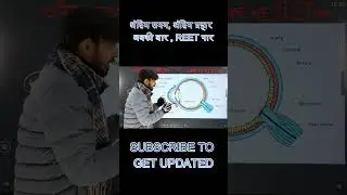 REET 2025 🔥 आँख से पक्का प्रश्न यहीं से आएगा | Human Eye Important MCQ | REET Science I #shorts