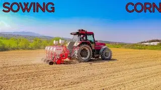 SETVA KUKURUZA 2021 ; Sowing corn 2021,SAKALAK & CASE IH 5130!!!