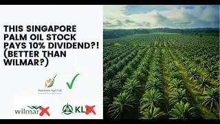 This Singapore Palm Oil Stock Pays 10% Dividend Better Than Wilmar Bumitama Agri P8Z SI