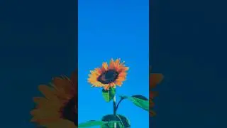 (free) JORDAN WARD x SMINO TYPE BEAT 