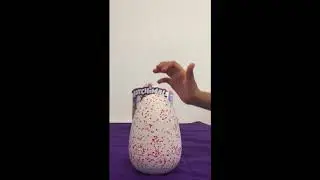 Hatchimal sale de su huevo!