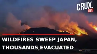 LIVE | Wildfires Scorch Over 460 Hectares In Japan, Mass Evacuations On As Firefighters Battle Blaze