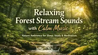 Nature Soundscape 🌲 Gentle Forest Water & Calm Music for Deep Relaxation