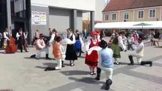 Kaszubski Zespół Pieśni i Tańca Sierakowice w Szwecji