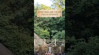 COUTRALAM TIGER FALLS UPDATE