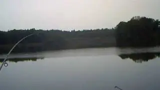 Karpfendrill - Karpfenrun