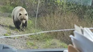 Yukon/BC Border to Atlin BC