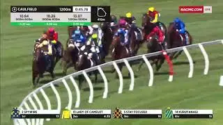 🔥HAYASUGI(AUS)🔥- 2024 Blue Diamond Stakes (2YO OPEN SW G1) Group 1 Caulfield 24 February