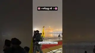 Amrit Vela Darshan | Shri Harmandar Sahib | WMK #wmk #darbarsahib #live #gurbani #singh