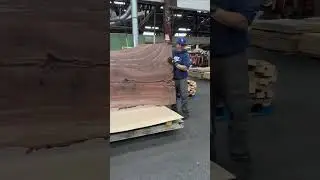 Claro Walnut Live Edge Slab #woodworking