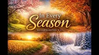 In every season