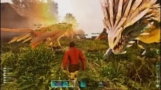 How to raise a Wyvern FAST