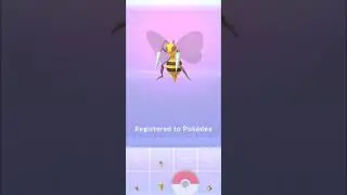 Kakuna Evolution and Mega Evolution!