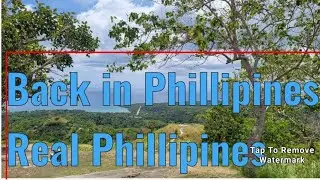 Back in Phillipines- Updates and Info 