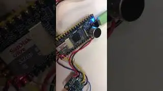 Milk-V Duo + MAX98357A = Audio Output