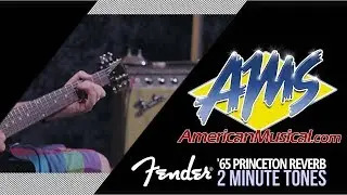 Fender '65 Princeton Reverb 2 Minute Tones - Fender '65 Princeton Reverb w/ G10