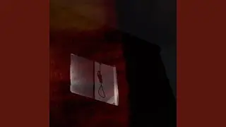 Bleed