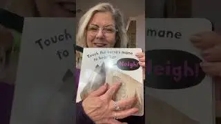 Noisy Farm Book 12 25
