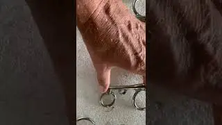 Pelham bit question