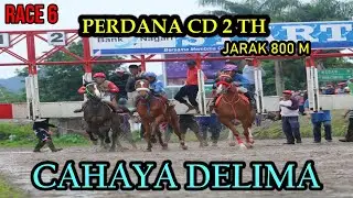 LATBER KELAS PERDANA CD 2 TH JARAK 800 M ll CAHAYA DELIMA ll KURIAK_KUSUIK
