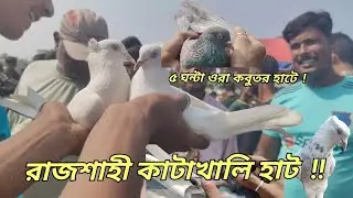 শীতের ভিতরে রাজশাহীর ঐতিহ্যবাহী  কাটাখালি কবুতর হাটে বিভিন্ন প্রকার গিরিবাজ  কবুতরের দাম জেনে নিন।  