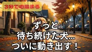 心温まる物語 ～帰りを覚えている背中～