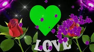 Rose Love Green Screen Video Effect Free Download  #Nocopyright Video