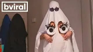 The 
