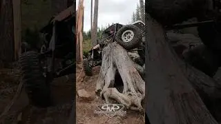 Nice rock crawling line at Reiter ORV
