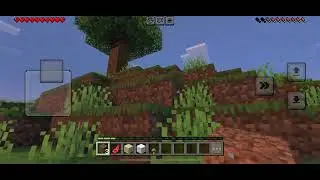 Minecraft mais je joue en bedrock 