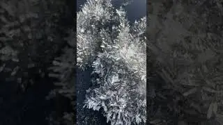 Cool Winter Ice Shard Frozen Crystal Formations 🧊#shorts #ice #oregon