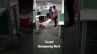 Carpet Shampooing Work