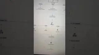 Automating SMS Notification for Shipping/Logistics Company