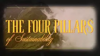 The Four Pillars of Sustainability - A Ted Talk Speech Presentation (Group 5)