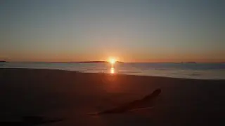 Spectacular Sunrise at Beach with Calm Ocean Waves and Morning Birds | Ambience for Sleep & Study