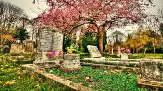 Ramsgate Cemetery Time-lapse