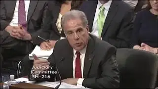 Sen  Sasse Questions I G  Horowitz + Dir  Wray on the FBI Interview of Hillary Clinton
