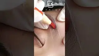 DO YOU LIKE THIS COLOR? #fleekbrows #rstech #eyebrows #phuongphan #hairstrokes #hairstroke
