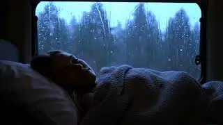 Calming Rain and Thunderstorm Sounds for Insomnia Relief