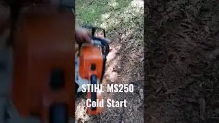 STIHL MS250 Cold Start #stihl #chainsaw #bobthetoolman #timber #stihlusa #shorts #stihlchainsaw