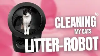Cleaning My Cats Robot Litter Box | Fast & Simple