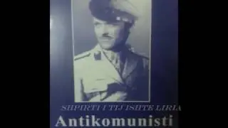 Shahin doci