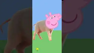 Real life animals with Peppa Pig heads