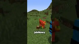 To nie jest zwykły pies 😱